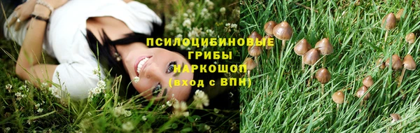 метадон Алагир