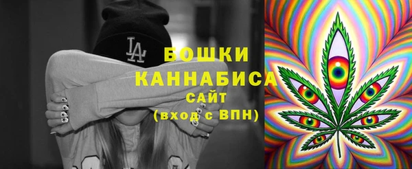 гашик Анива