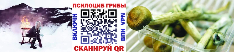 где найти наркотики  ссылка на мегу tor  Галлюциногенные грибы ЛСД  Щигры 